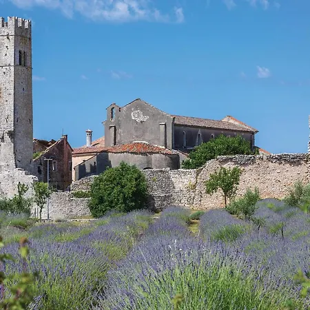Korsa V * Sveti Lovreč Pazenatički